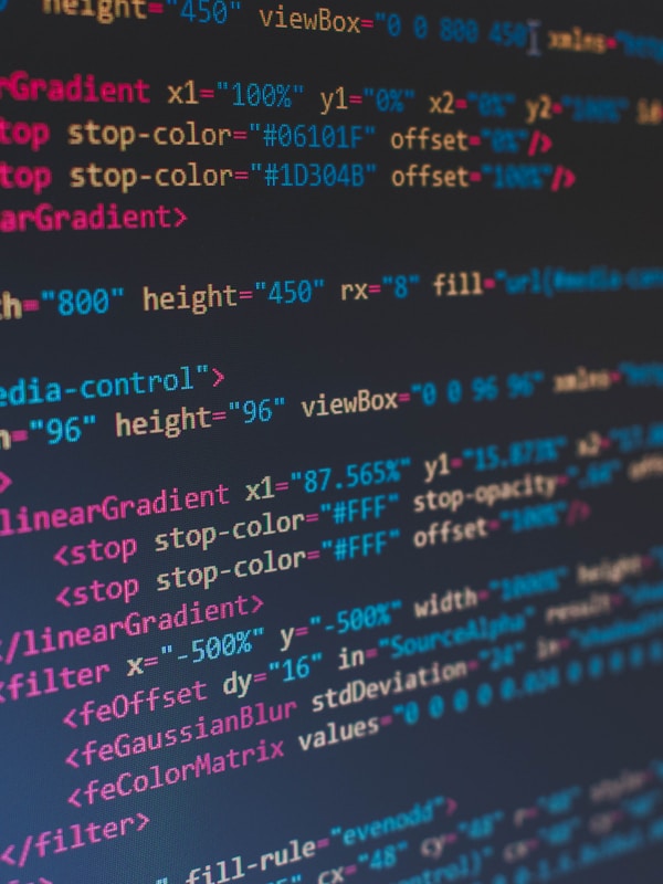 Web development service example